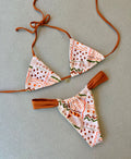 Scallop SET